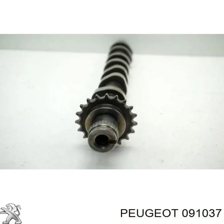  091037 Peugeot/Citroen