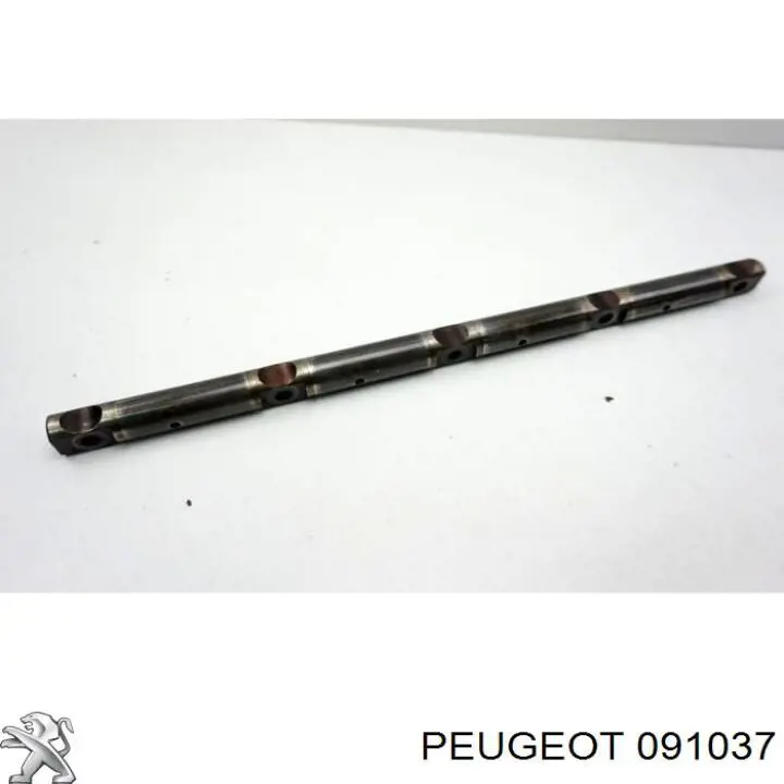 091037 Peugeot/Citroen 