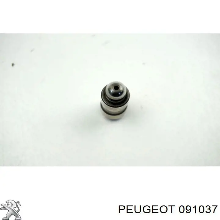  Peugeot/Citroen 091037 precio, desde  