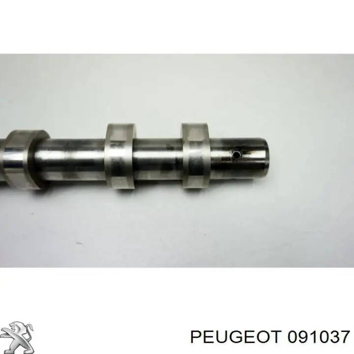 Comprar 091037 Peugeot/Citroen 