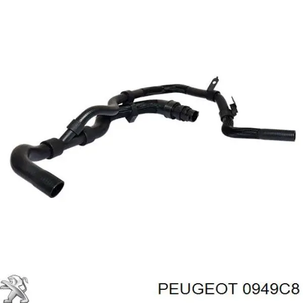 0949C8 Peugeot/Citroen válvula de escape