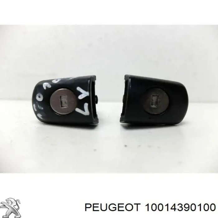 10014390100 Peugeot/Citroen 