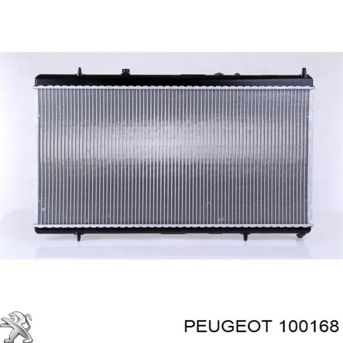 100168 Peugeot/Citroen