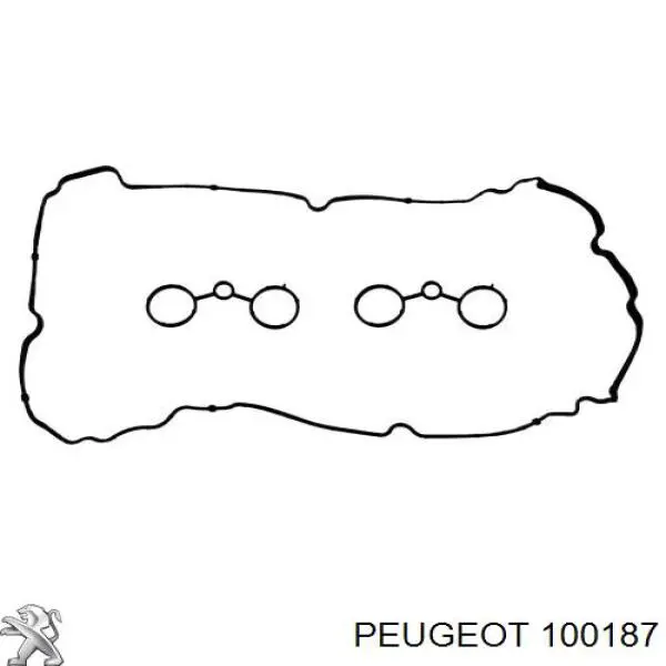 100187 Peugeot/Citroen bomba de aceite