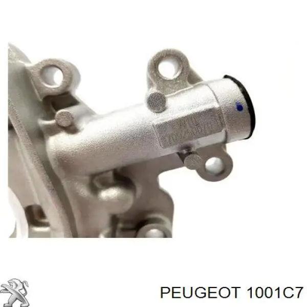 1001C7 Peugeot/Citroen bomba de aceite