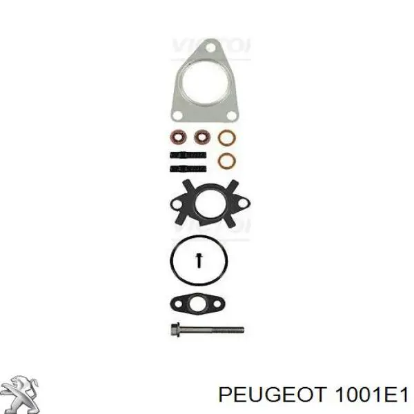 1001E1 Peugeot/Citroen bomba de aceite