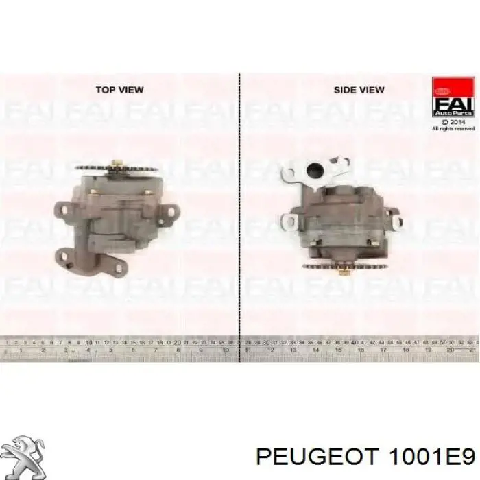 Bomba de aceite Peugeot/Citroen 1001E9 precio, desde 58,41 EUR