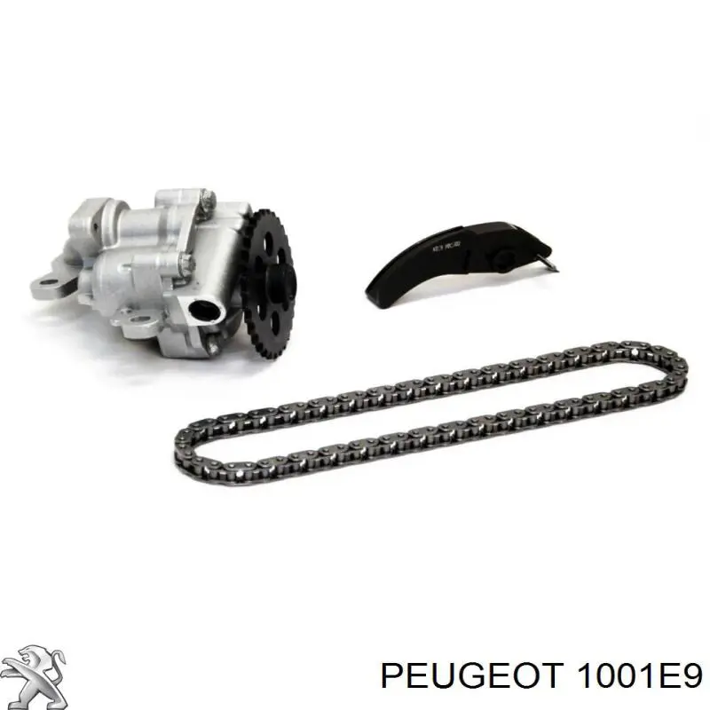 Comprar 1001E9 Peugeot/Citroen Bomba De Aceite