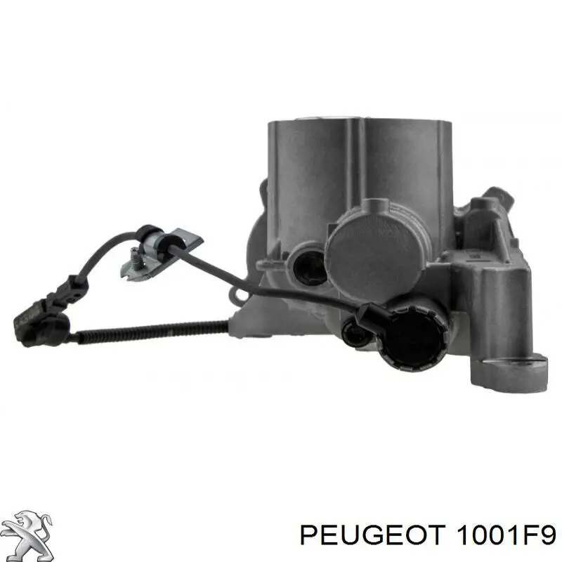 1001F9 Peugeot/Citroen bomba de aceite