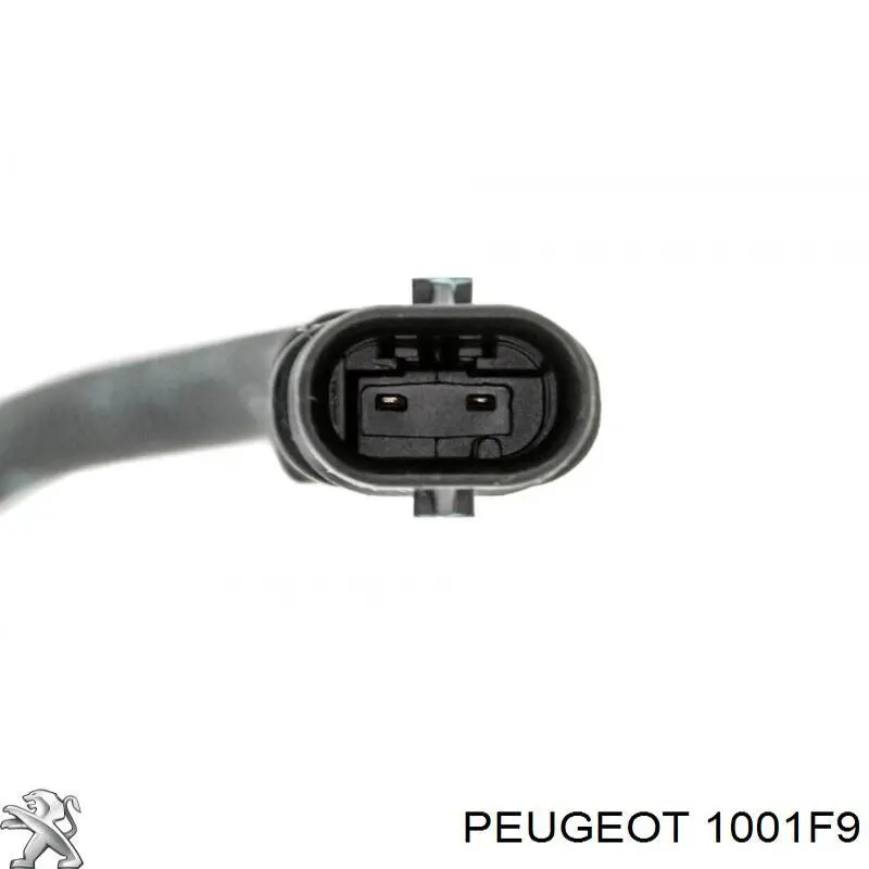 Bomba De Aceite 1001F9 Peugeot/Citroen