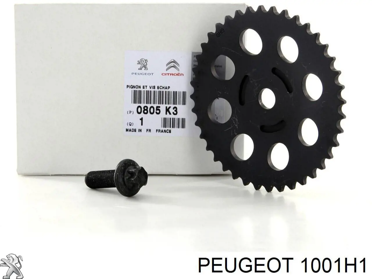 Bomba De Aceite 1001H1 Peugeot/Citroen
