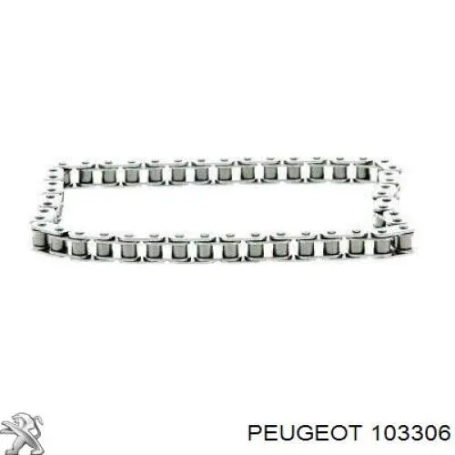 103306 Peugeot/Citroen cadena, bomba de aceite