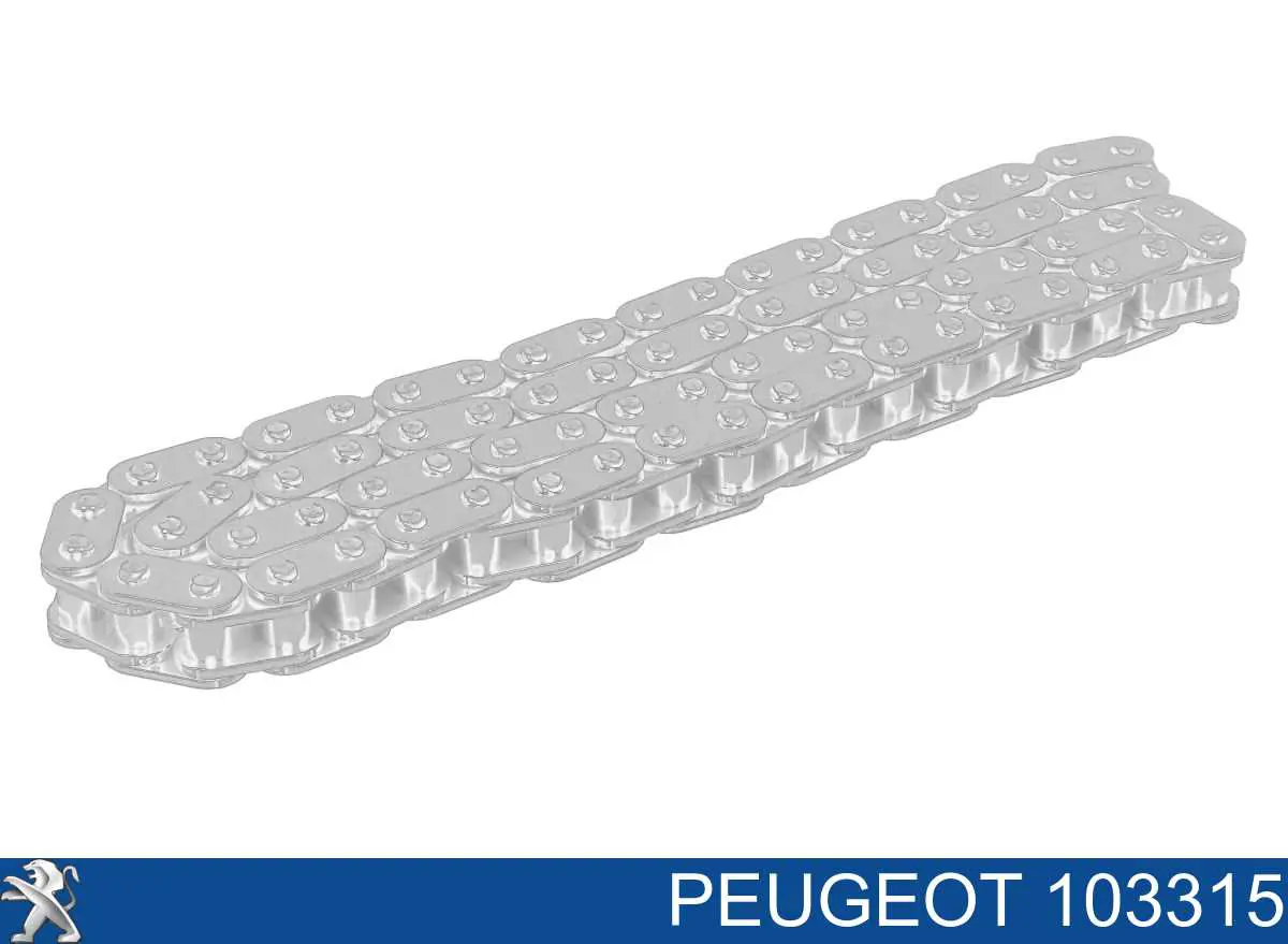 Comprar 103315 Peugeot/Citroen Cadena de la Bomba Aceite