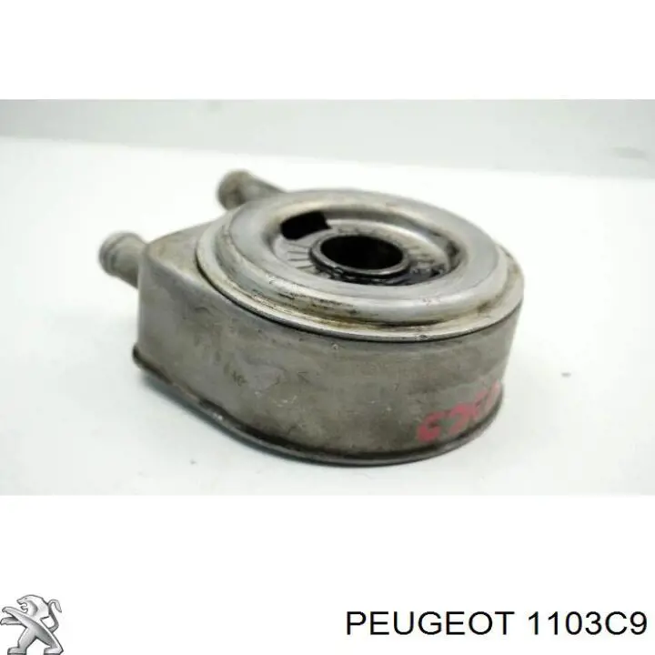 1103C9 Peugeot/Citroen radiador de aceite, bajo de filtro