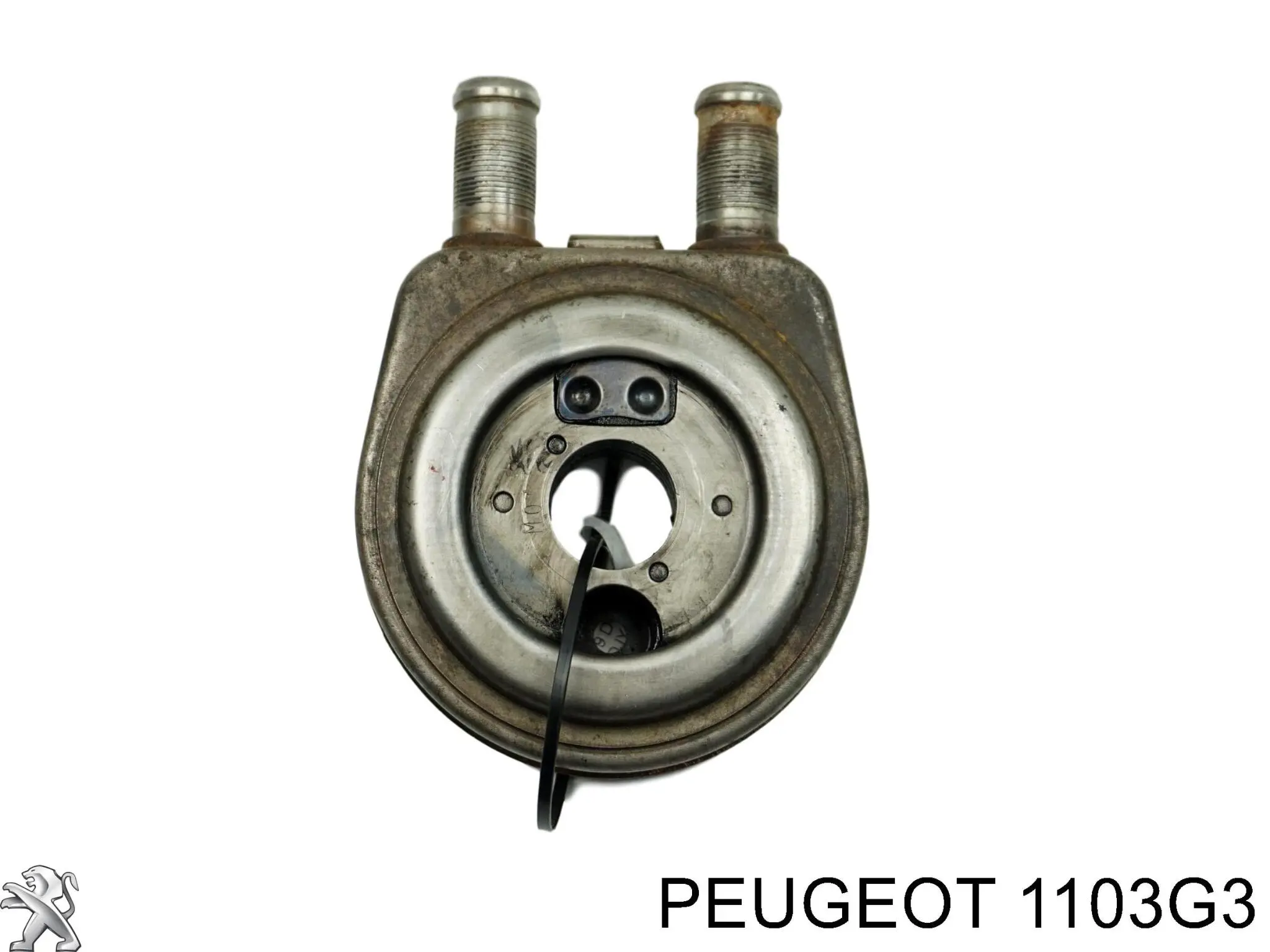1103G3 Peugeot/Citroen radiador de aceite, bajo de filtro