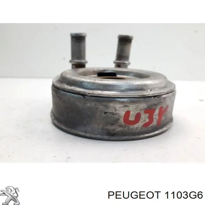 Radiador de aceite debajo del filtro 1103G6 Peugeot/Citroen