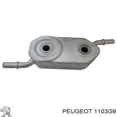 1103G9 Peugeot/Citroen radiador de aceite, bajo de filtro