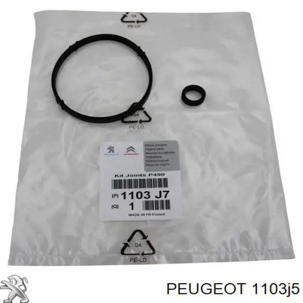 Tapa de filtro de aceite Peugeot/Citroen 1103J5