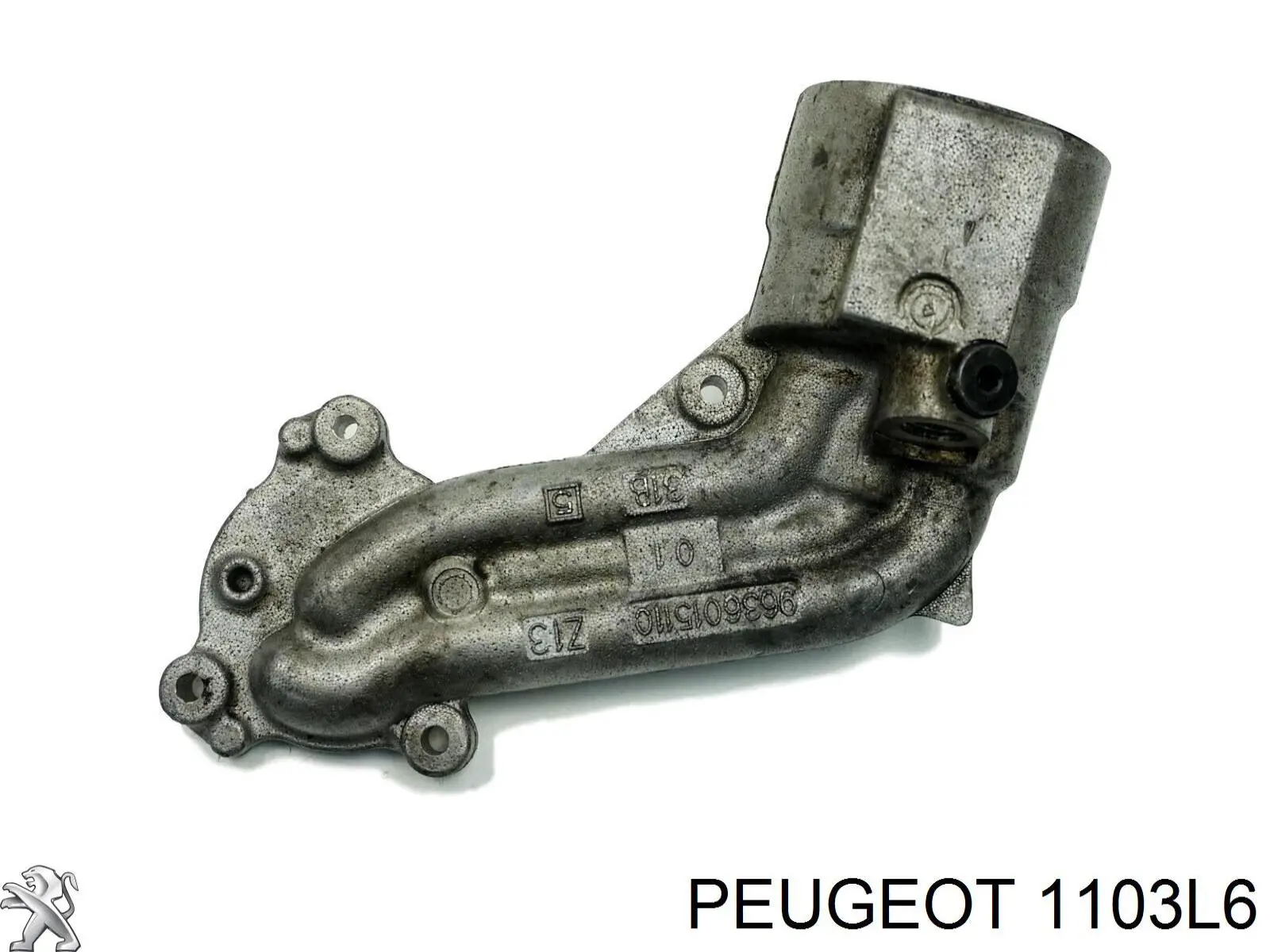 1103L6 Peugeot/Citroen caja, filtro de aceite