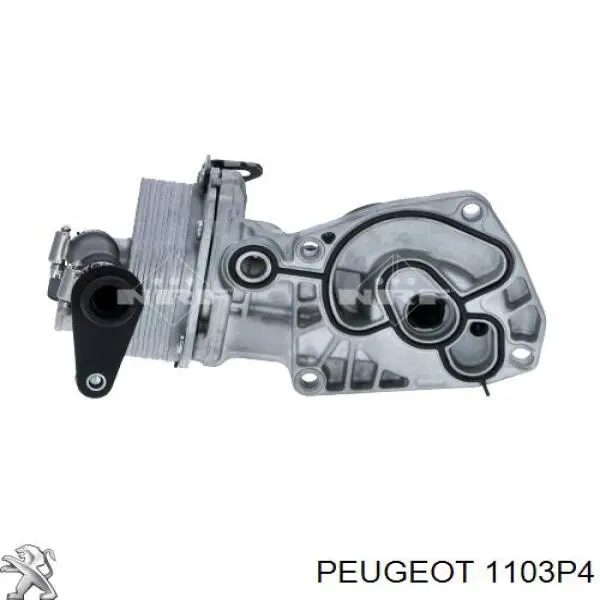 1103P4 Peugeot/Citroen caja, filtro de aceite