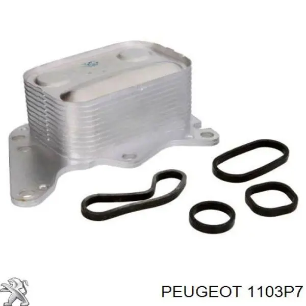1103P7 Peugeot/Citroen radiador de aceite, bajo de filtro