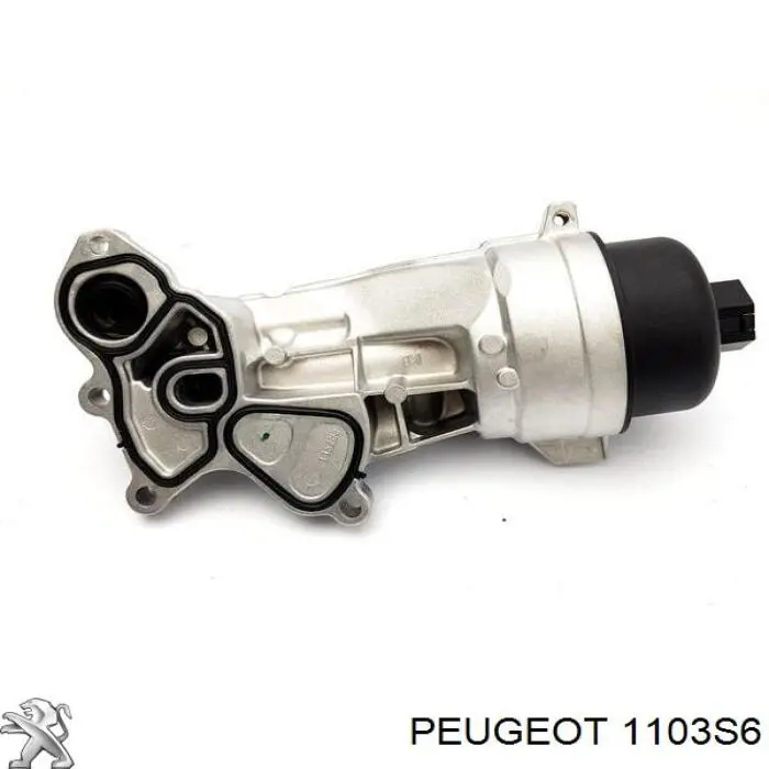 1103S6 Peugeot/Citroen caja, filtro de aceite
