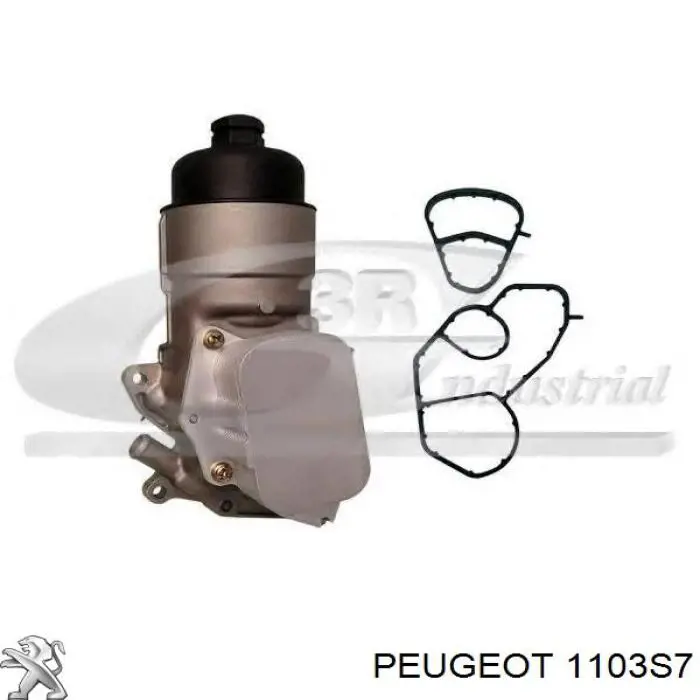 Caja, filtro de aceite Peugeot/Citroen 1103S7