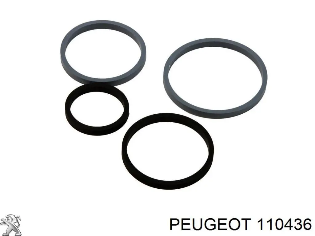  Peugeot/Citroen 0000110436