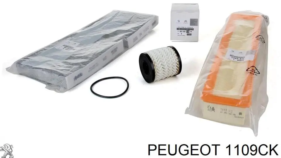 Filtro de aceite motor Peugeot/Citroen 1109CK