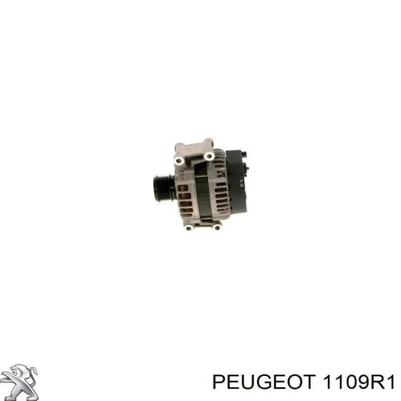 Filtro de aceite 1109R1 Peugeot/Citroen