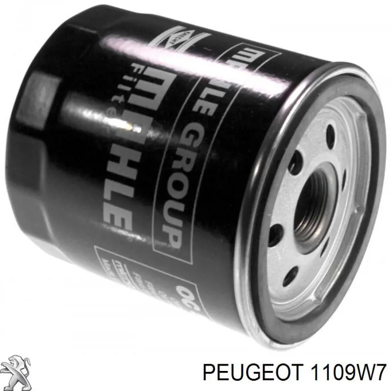 1109W7 Peugeot/Citroen filtro de aceite