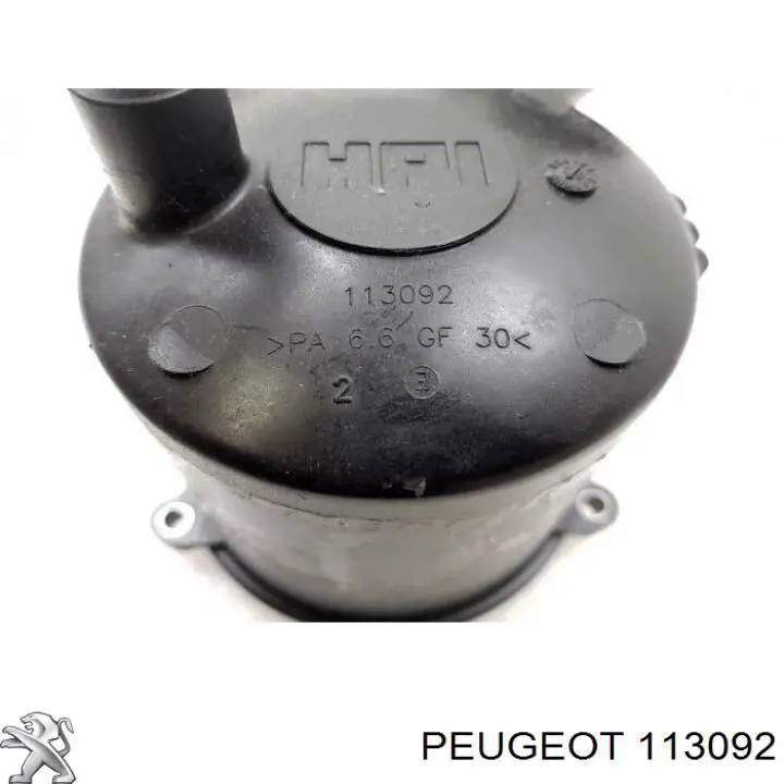Comprar 113092 Peugeot/Citroen 