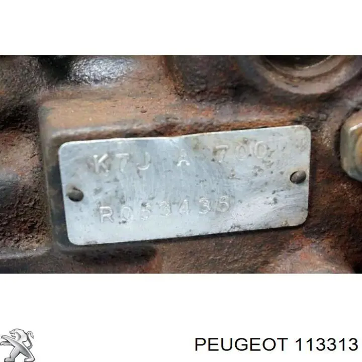 Comprar 113313 Peugeot/Citroen 