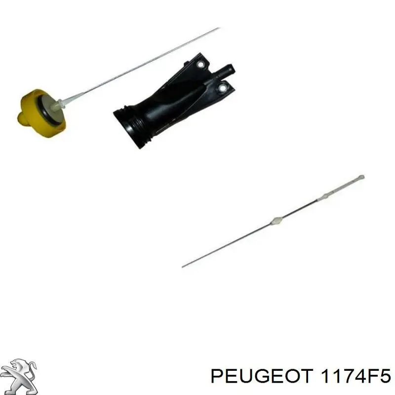 Varilla de aceite 1174F5 Peugeot/Citroen