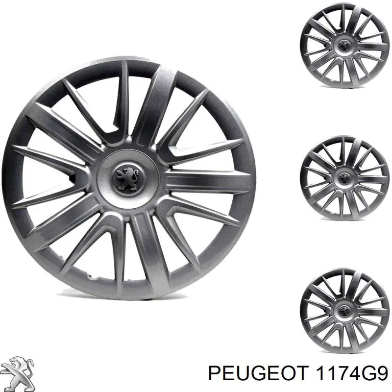 Varilla de nivel de aceite Peugeot/Citroen 1174G9