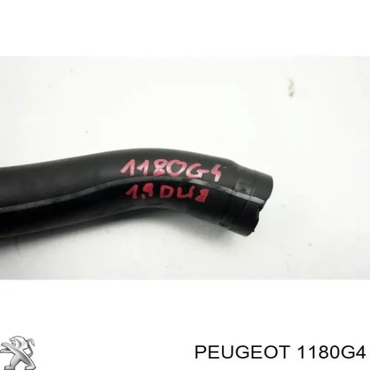 1180G4 Peugeot/Citroen tubo de ventilacion del carter (separador de aceite)