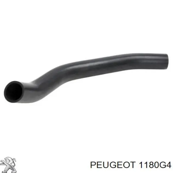 Comprar 1180G4 Peugeot/Citroen Sistema de ventilación del cárter
