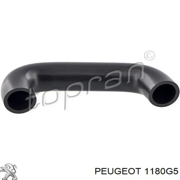1180G5 Peugeot/Citroen Decantador de aceite