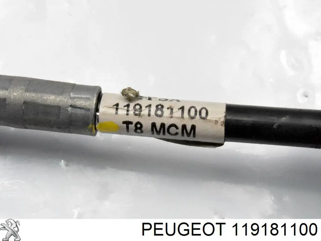 Peugeot/Citroen 119181100 precio, desde 88,57 EUR