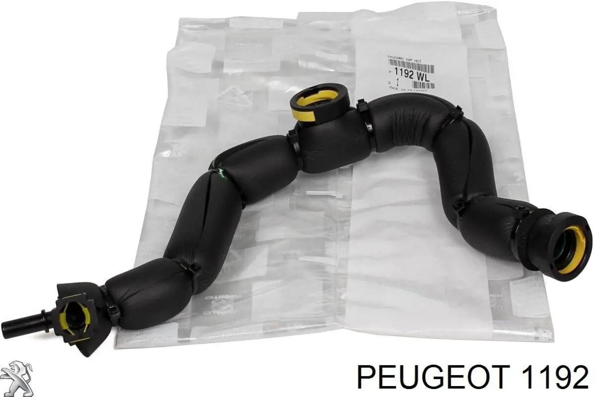 Tubo flexible, ventilación bloque motor para Peugeot 807 (E)