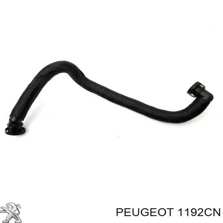 1192CN Peugeot/Citroen tubo de ventilacion del carter (separador de aceite)