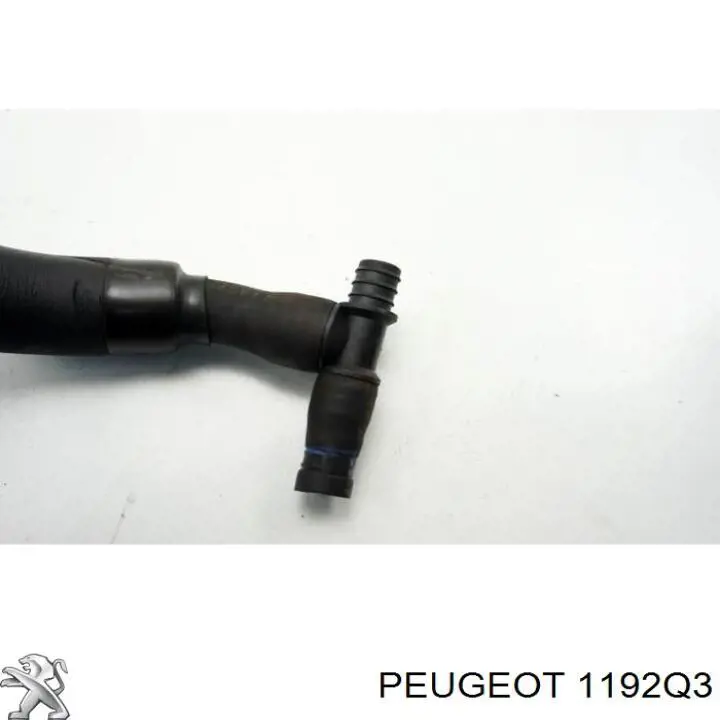 Tubo flexible, ventilación bloque motor para Peugeot 406 (8C)