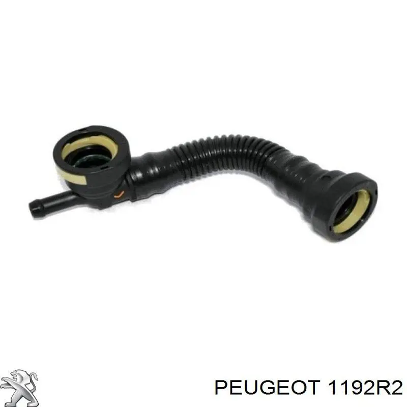 Válvula PCV Peugeot/Citroen 00001192R2 precio, desde 30,49 EUR