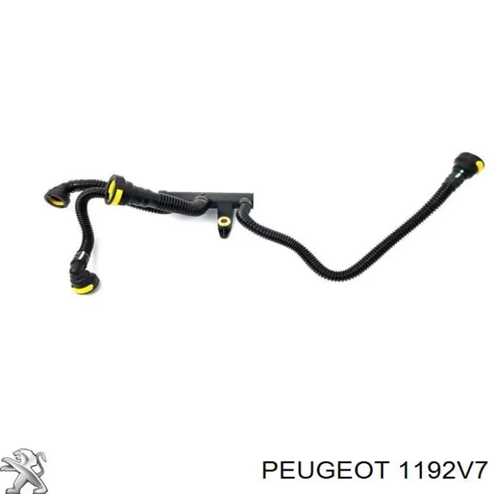 Tubo flexible, ventilación bloque motor para Peugeot 407 (6D)