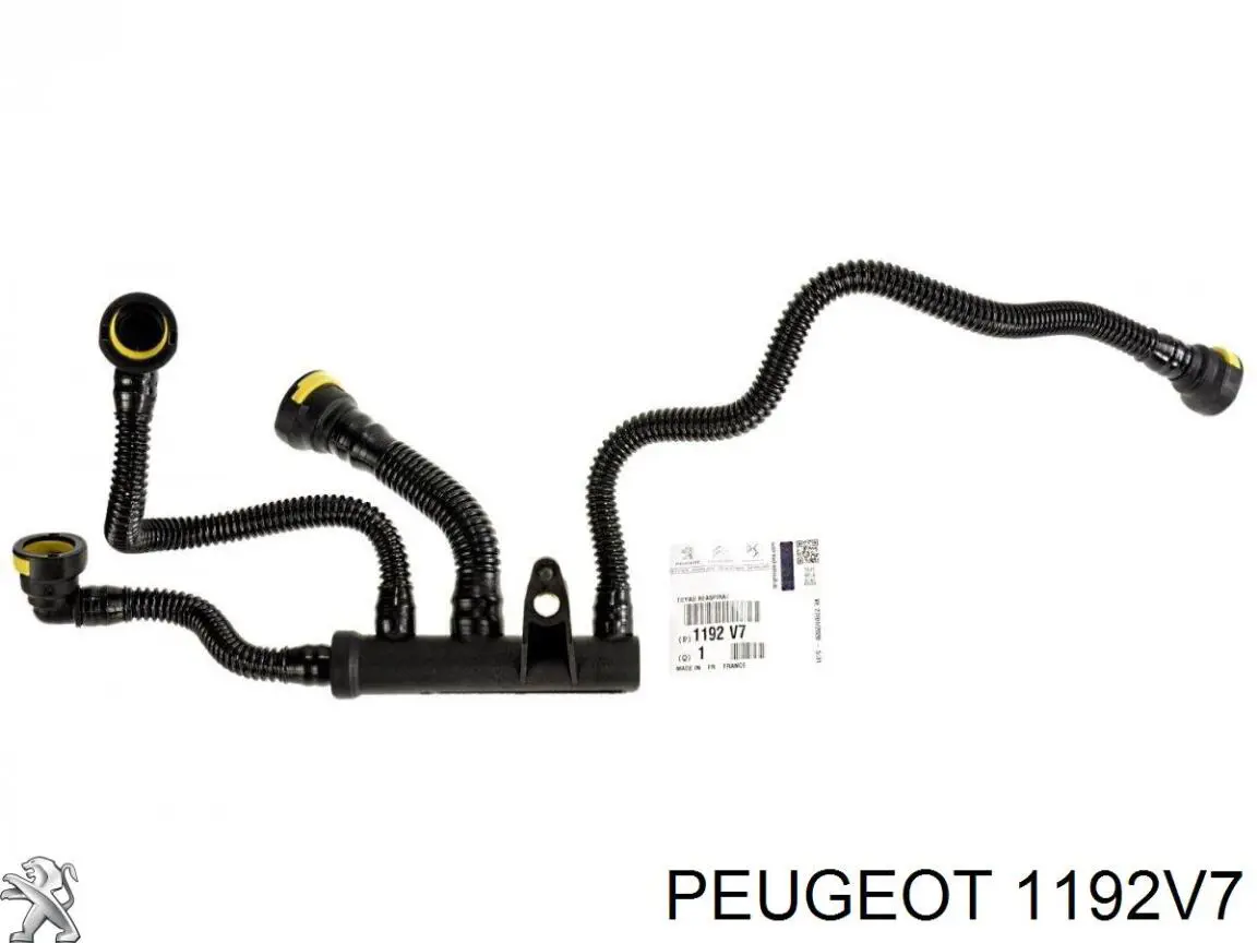 Válvula PCV Peugeot/Citroen 1192V7 precio, desde  EUR