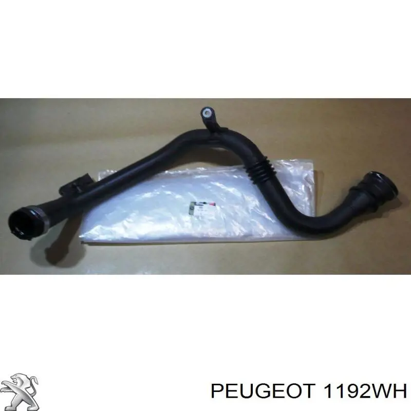 Válvula PCV Peugeot/Citroen 1192WH precio, desde 27,72 EUR