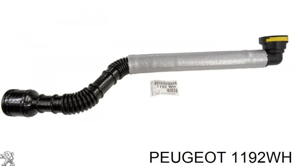Tubo flexible, ventilación bloque motor para Peugeot 407 (6E)