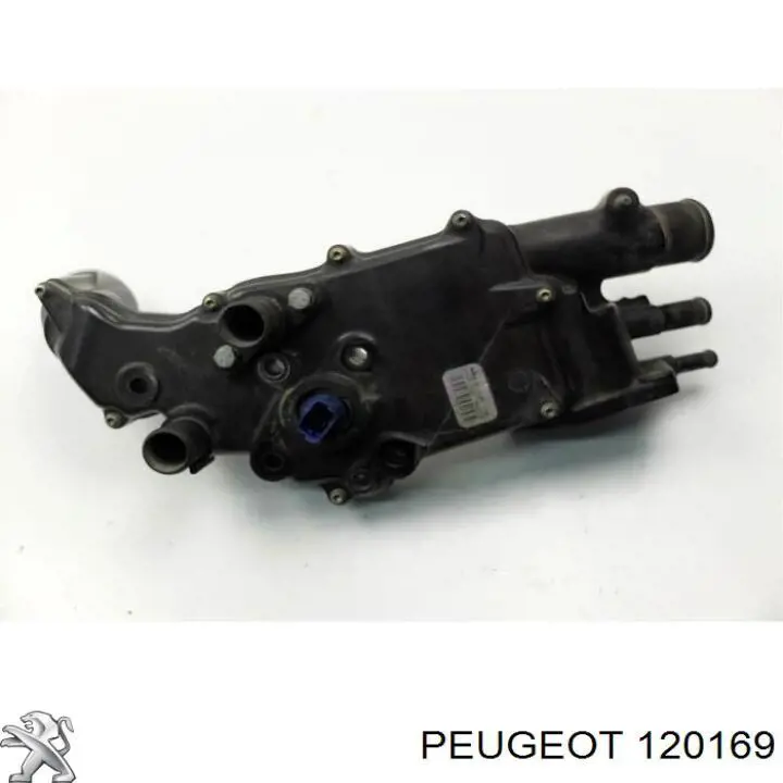 120169 Peugeot/Citroen bomba de agua