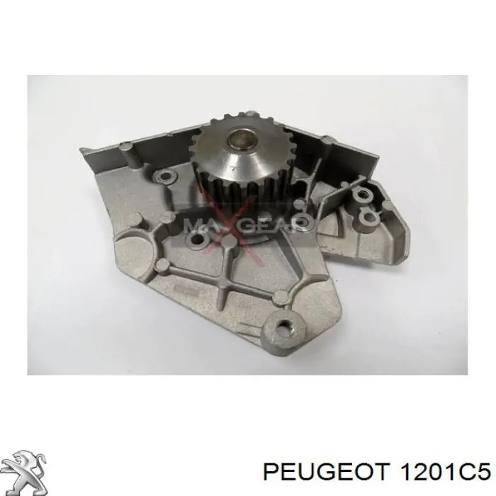 Comprar B258 Dolz Bomba de agua para motor