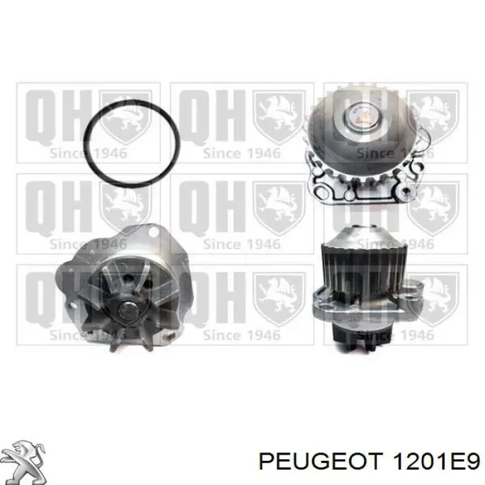 Bomba de agua 1201E9 Peugeot/Citroen